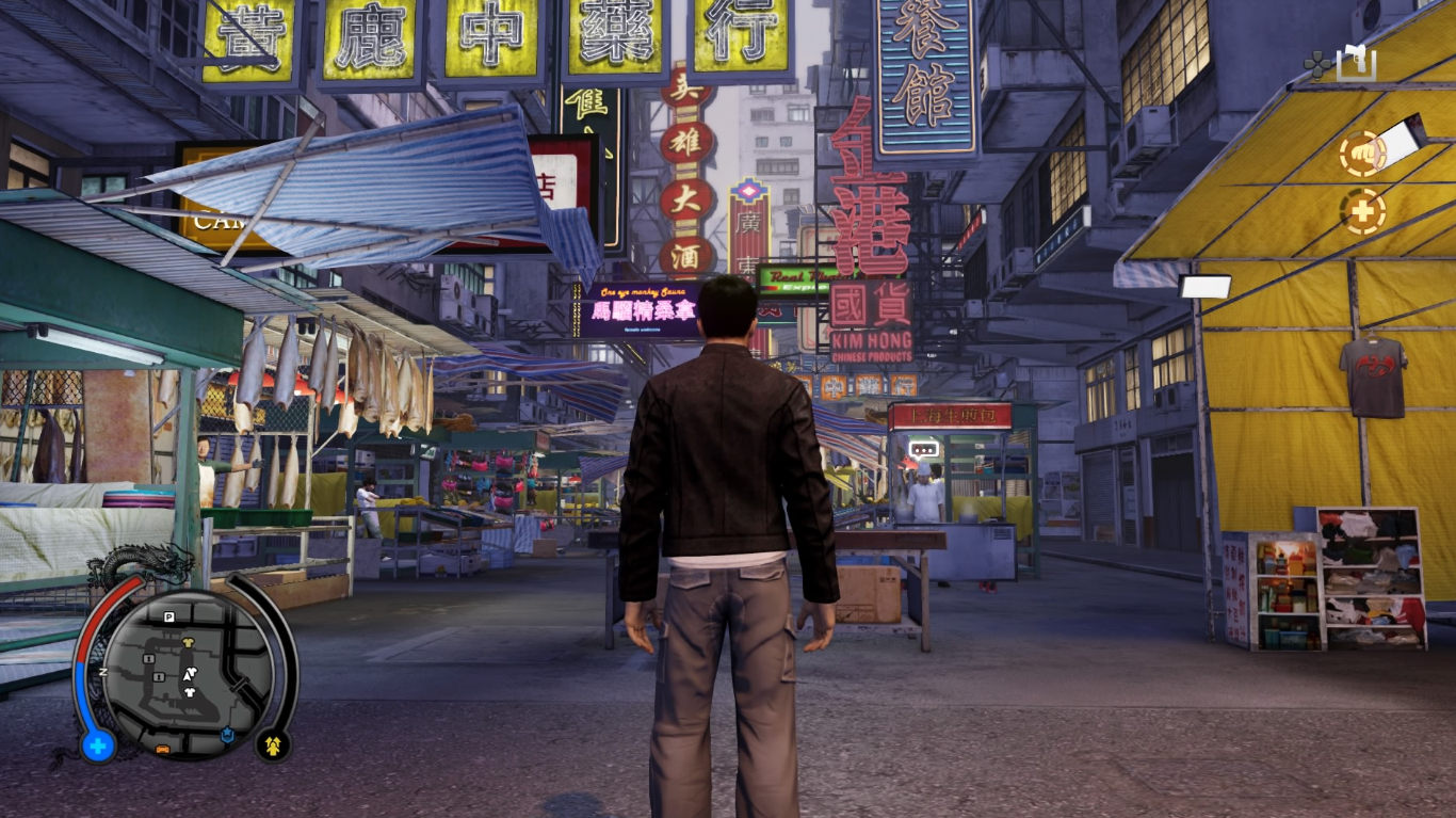Sleeping Dogs in the City