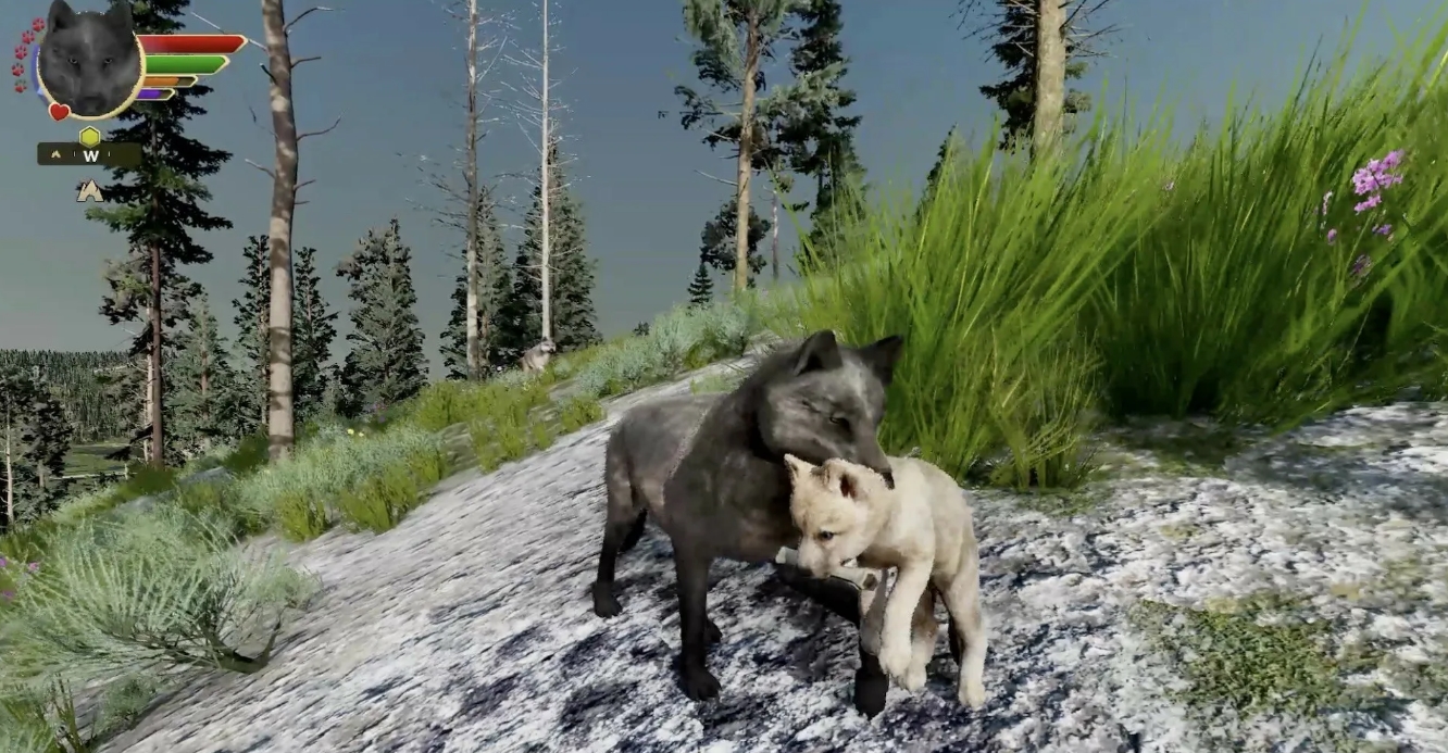 WolfQuest: Anniversary Edition Preview 2