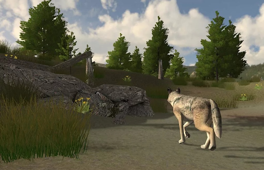 WolfQuest: Classic Preview 2
