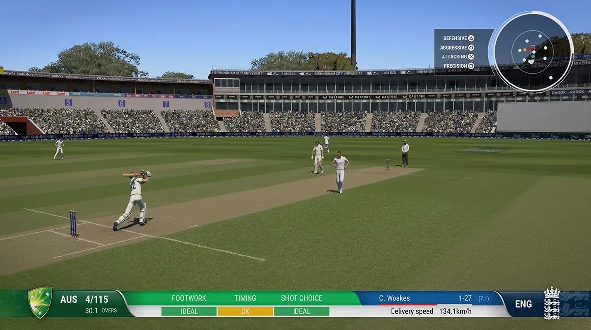 Cricket 24 Preview 1