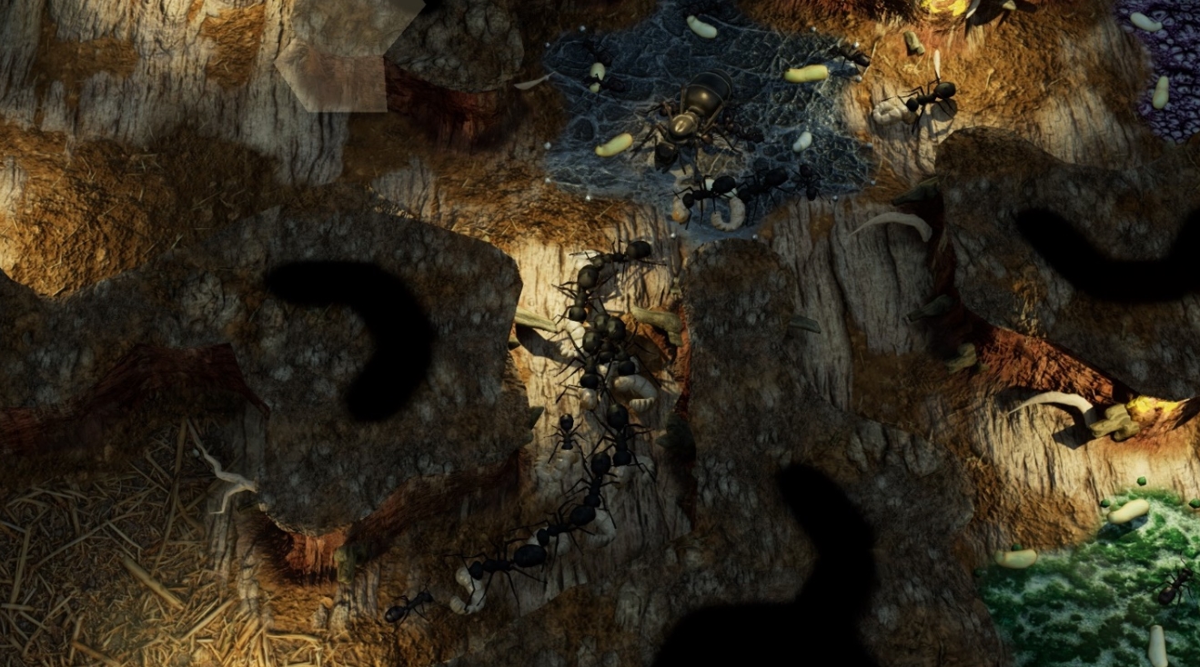 Empires of the Undergrowth Preview 1