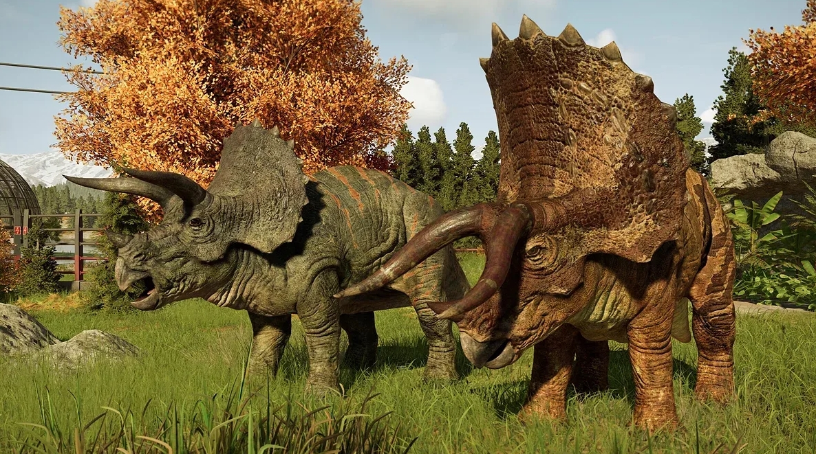 Graphics, technology, and optimization on PCs and consoles
