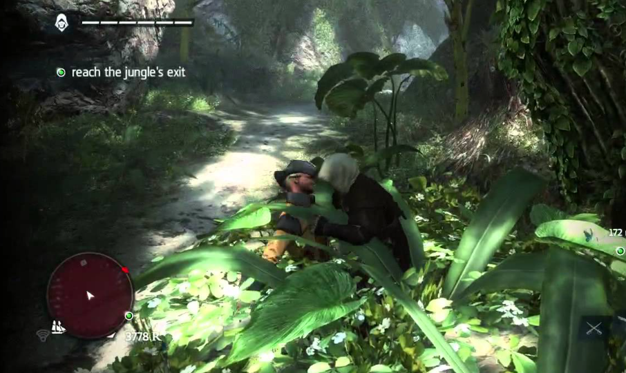 Havana jungle new zone