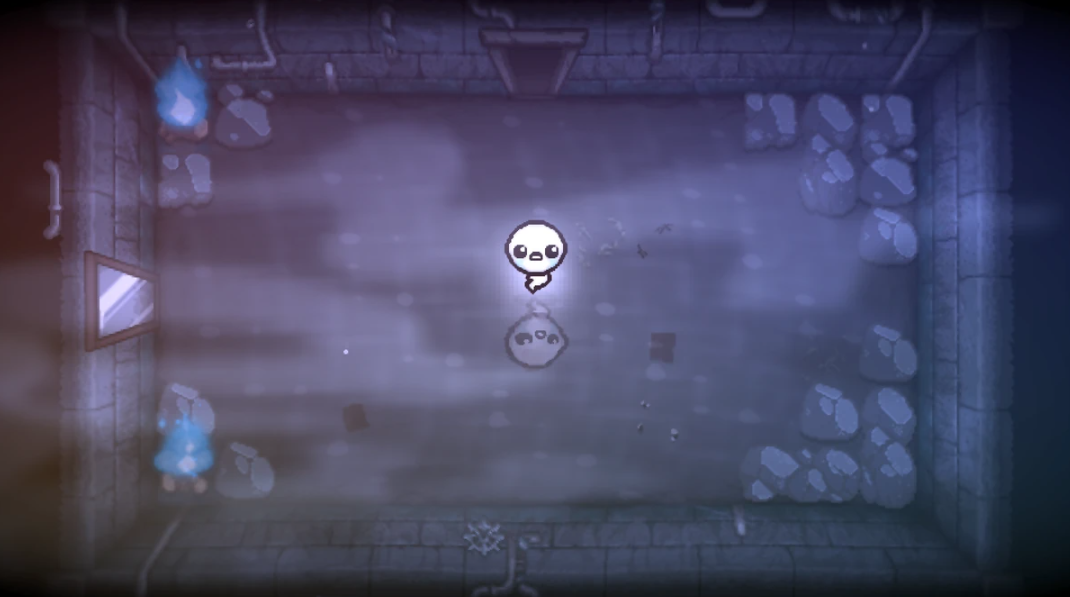 Isaac downpour mirror world