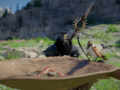 Crimson Desert: complete bird taming guide from sparrow to phoenix