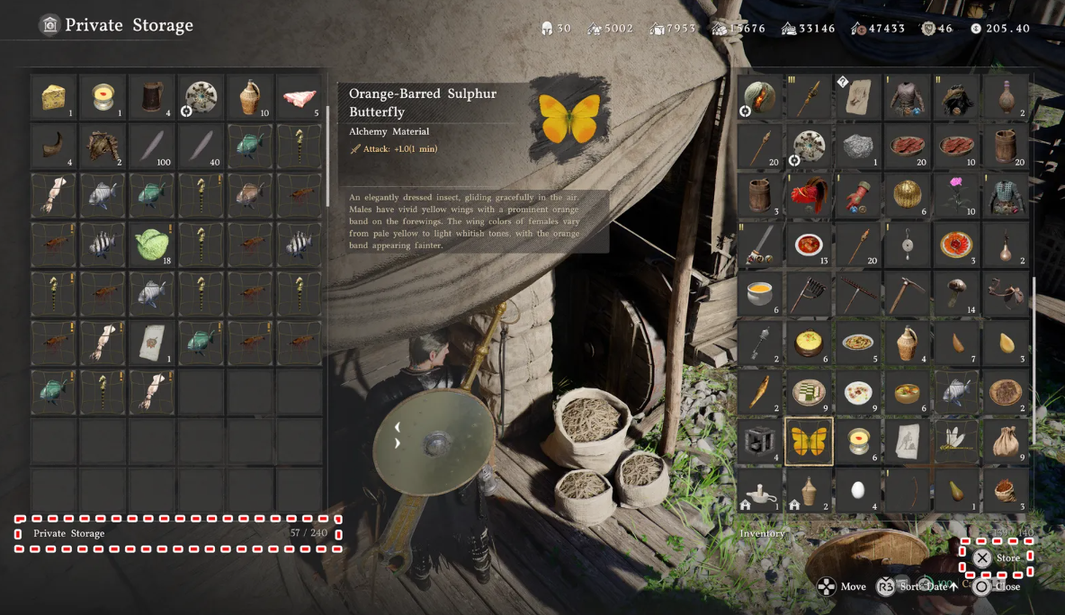 Personal storage chest camp