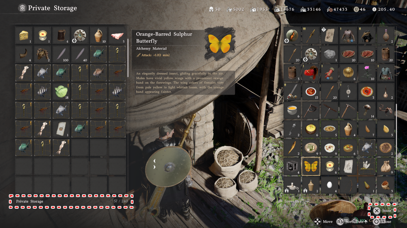 Large storage chest inventory
