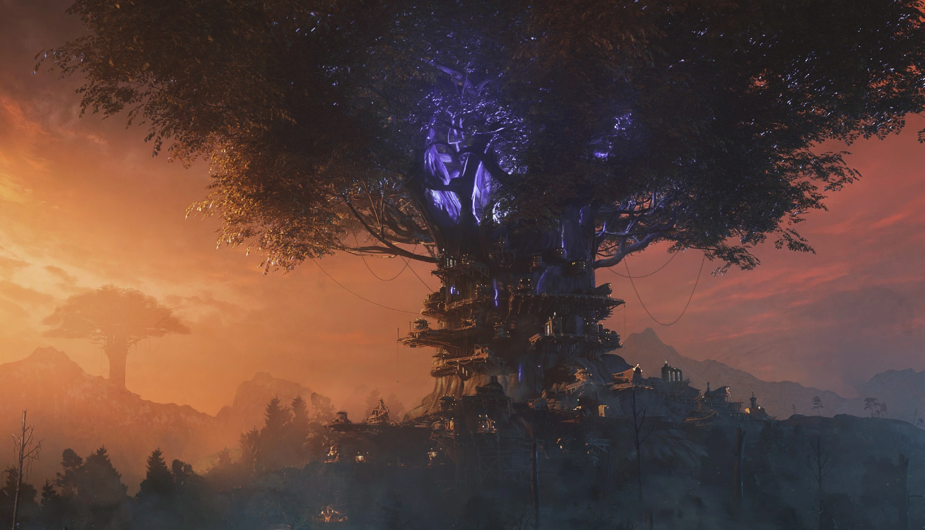 Dark fog forest atmosphere