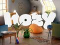 Hozy