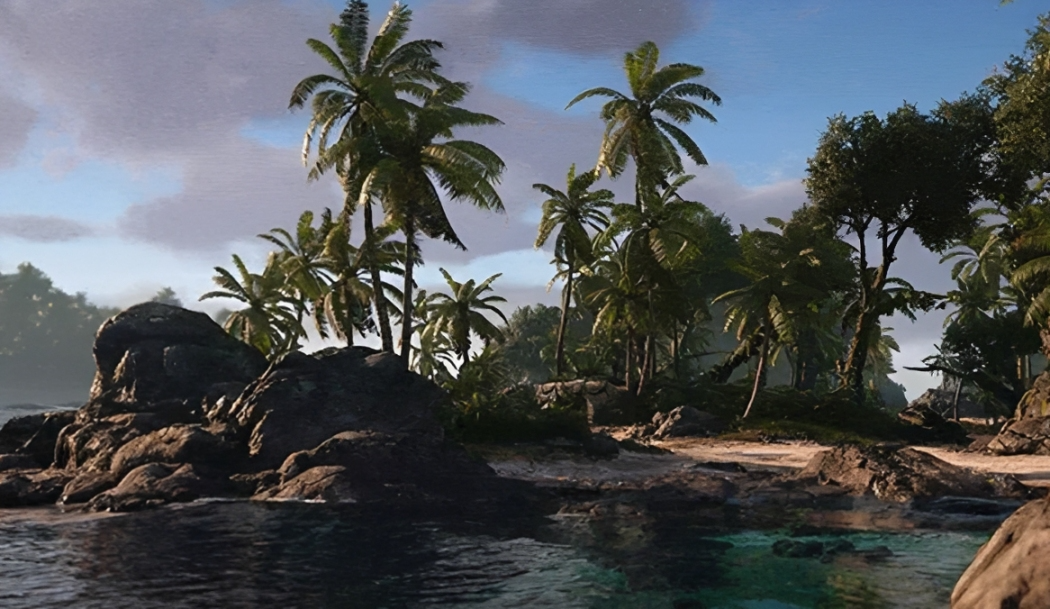 Leaks from the beach and palm trees