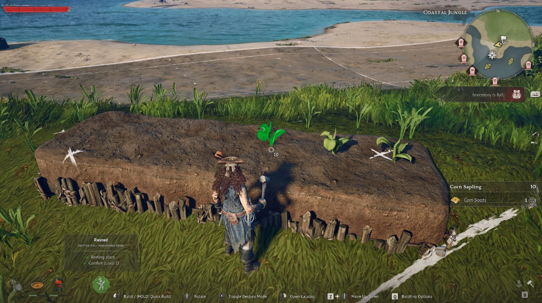 Garden beds farming setup