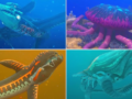 All Subnautica 2 Leviathans: Complete Guide to Locations, Scanning and Resource Farming