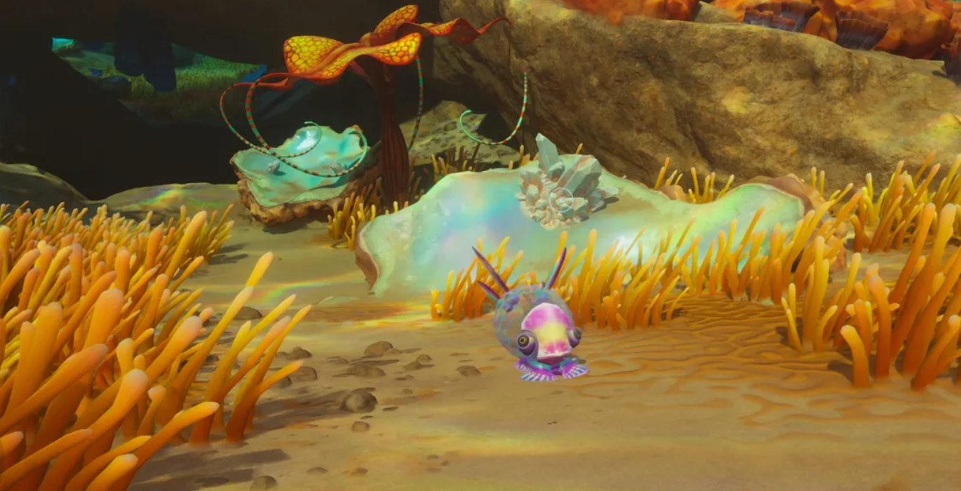Armored ram fish attack