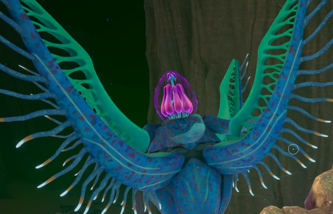 Subnautica 2: complete coordinates of all Angel Crestworms and adaptations