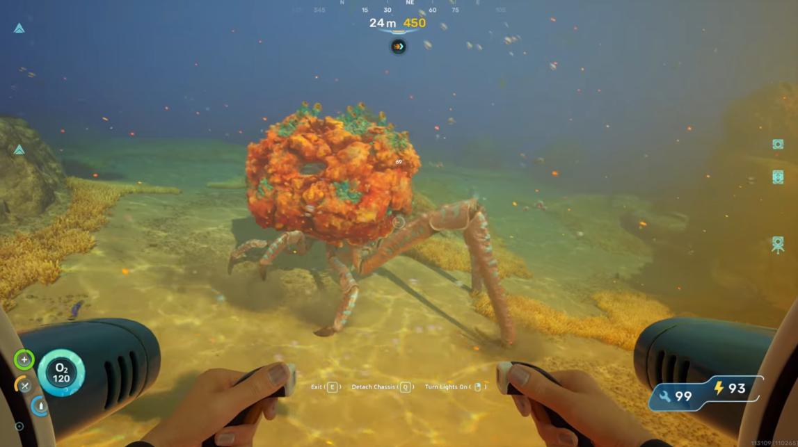 Coral crab disguise