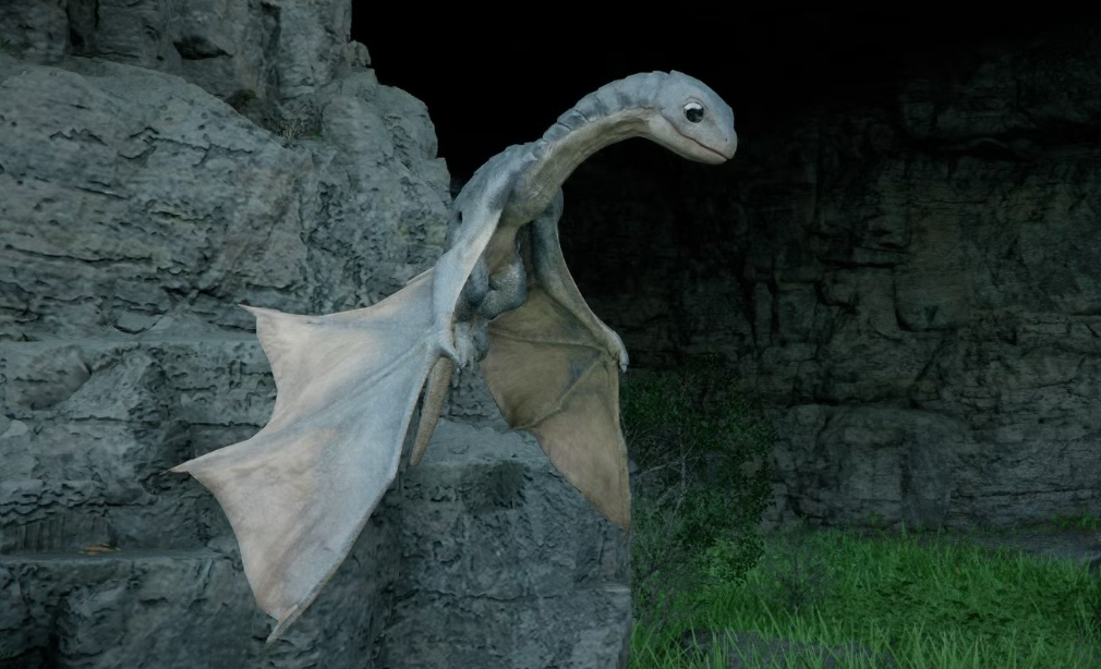 Baby wyvern companion
