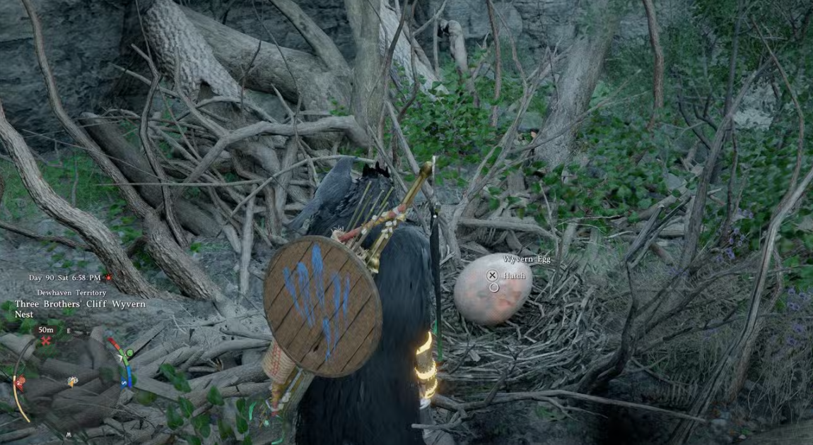 Wyvern egg nest