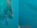 Where to Find & Avoid Collector Leviathan in Subnautica 2: Complete Guide