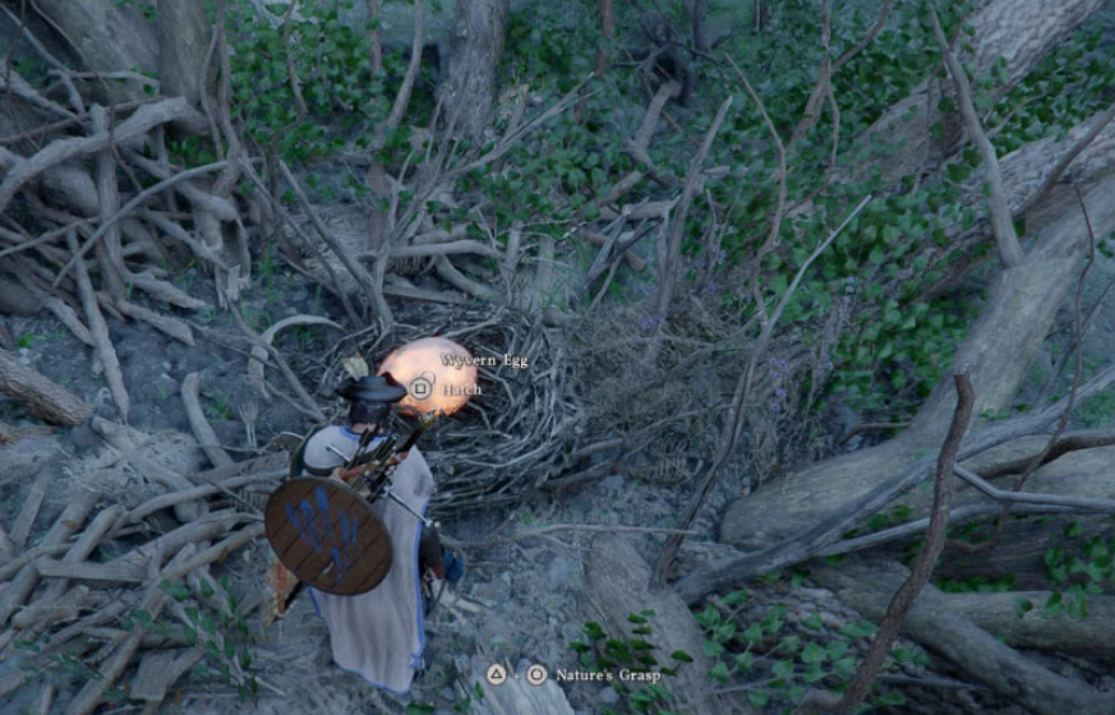 Crimson Desert: where to find and how to hatch wyvern egg — guide