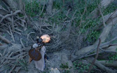 Crimson Desert: where to find and how to hatch wyvern egg — guide