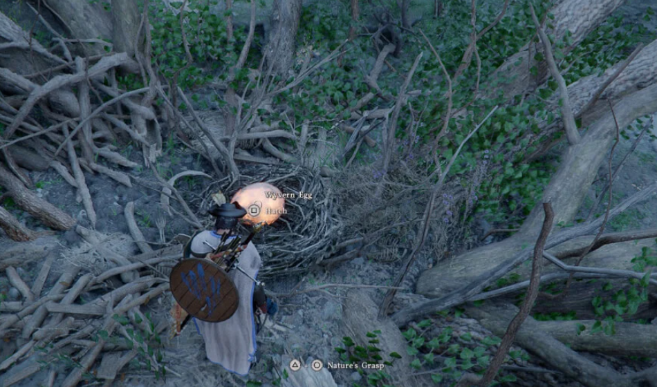 Crimson Desert: where to find and how to hatch wyvern egg — guide