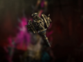 Where to find and how to craft Scepter of the Three in Diablo 4