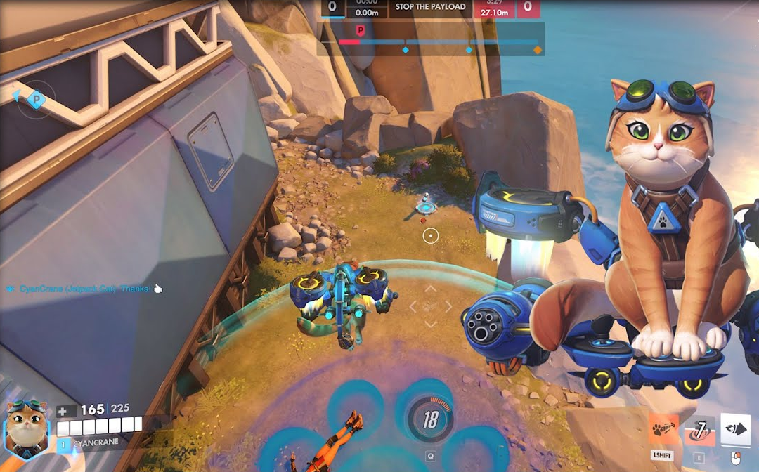 Jetpack cat overwatch hero