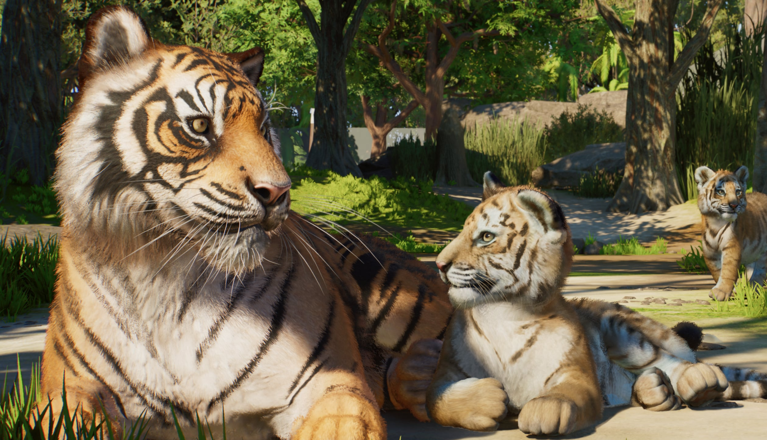 Planet Zoo 2 console gameplay