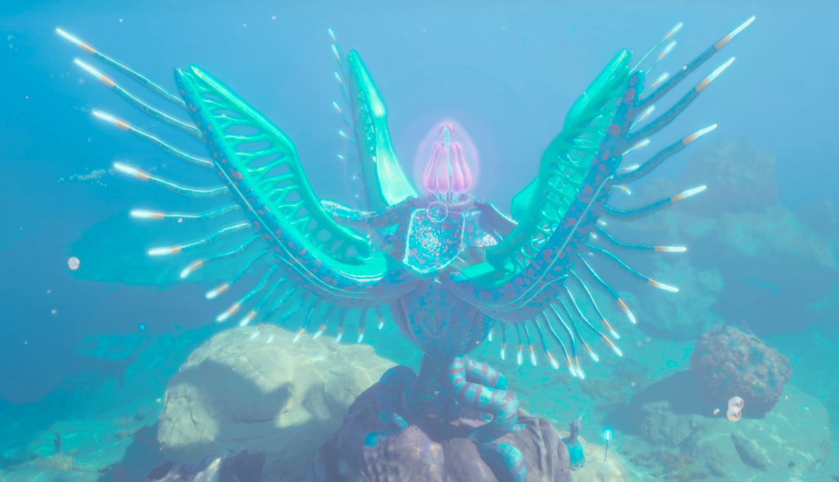 Angel Comb Jelly location