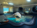 Subnautica 2 Early Access roadmap: all future updates, plans, and should you buy the game