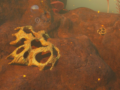 Subnautica 2 Gold Guide — All Farming Locations & Routes