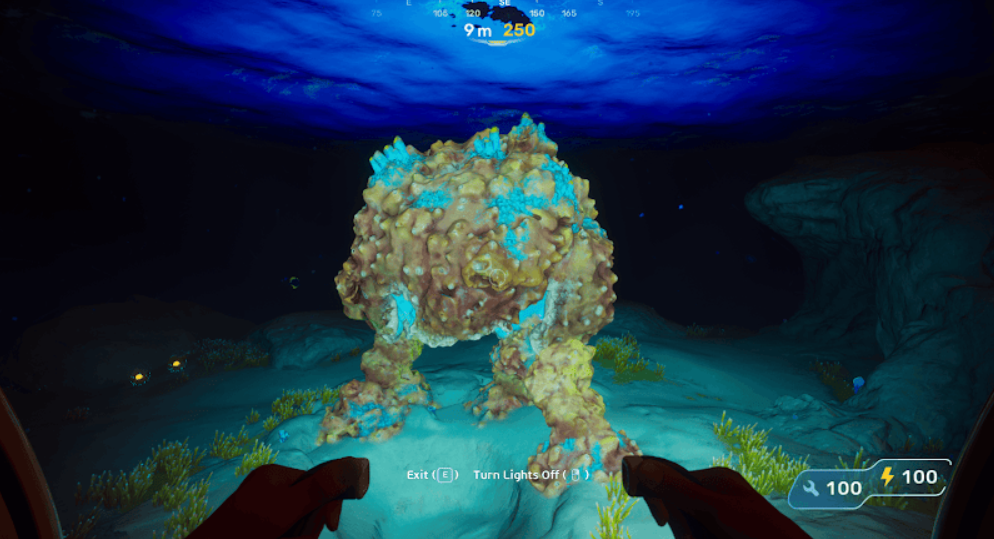 Large Coral Dome location