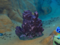 Subnautica 2 Lead Ore Locations: complete farming guide 2026