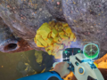 Subnautica 2 Sulfur Guide — Locations, Mistakes, Survival Table
