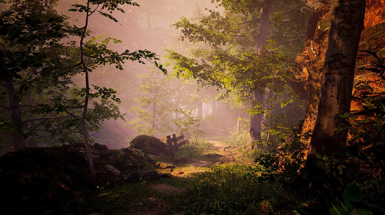 Sunlight filters through the trees, illuminating a forest path in The Fabled Woods