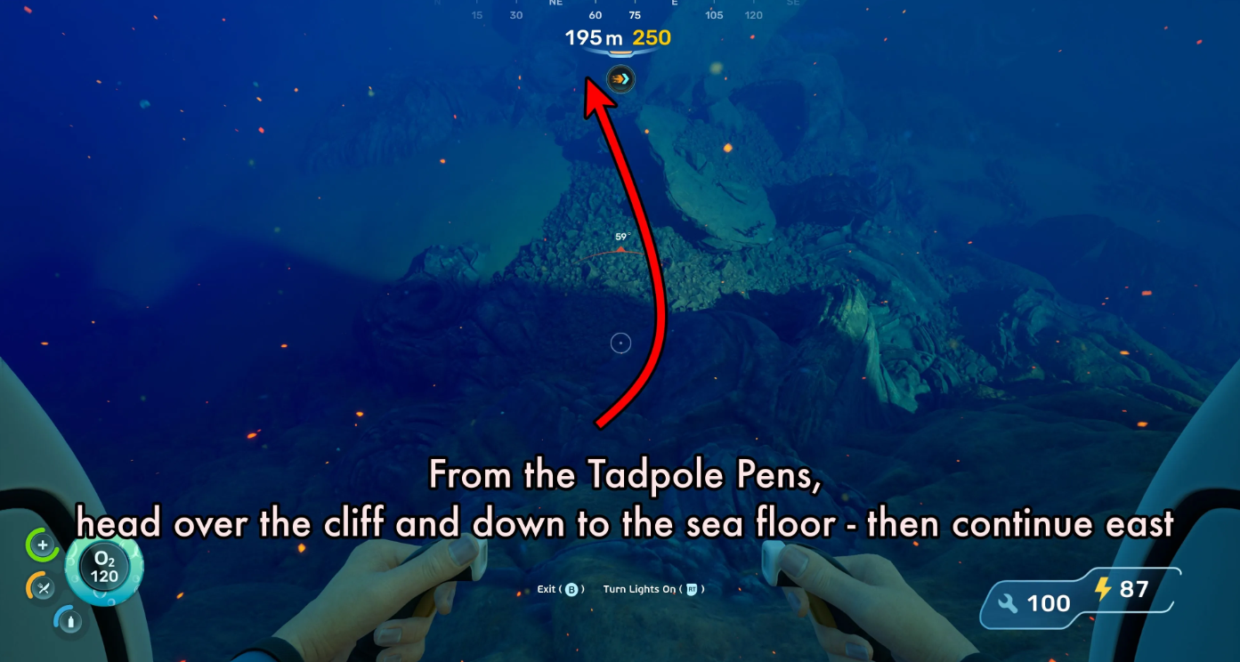 Tadpole deep trench dive
