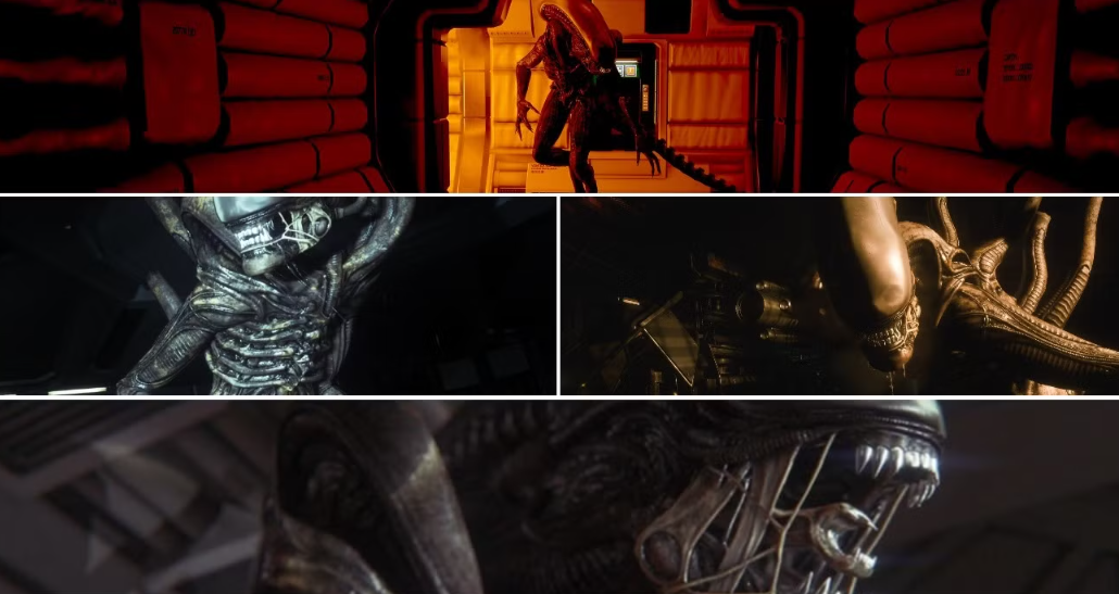 Xenomorph hunting player