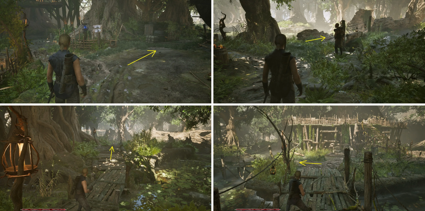 Balor swamp camp collector