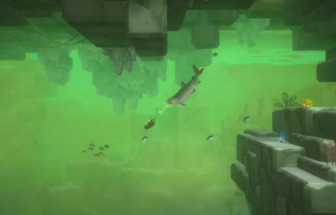 Dave the Diver: In the Jungle — Complete Fish List, Secret Species, and Catching Conditions
