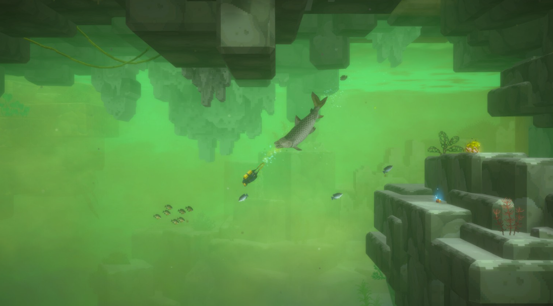 Dave the Diver: In the Jungle — Complete Fish List, Secret Species, and Catching Conditions