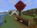 Minecraft Spotted Forest 2026: Poplars, Camps, Wool Stairs & Chaos Cubed