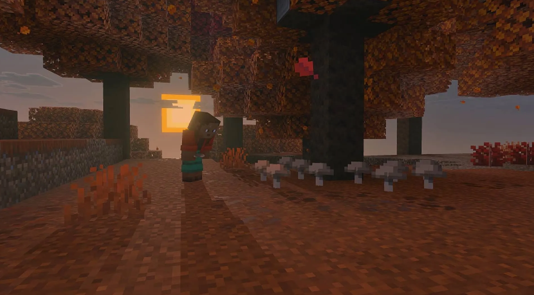 Minecraft autumn forest biome