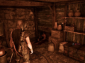 “Up to Neck” quest walkthrough in Gothic 1 Remake — find Bran and Silas basement chest code
