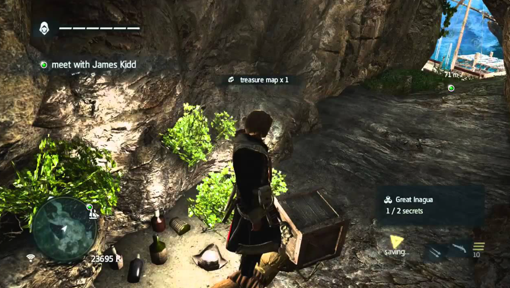 Great Inagua treasure merchant