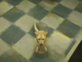 Shift at Midnight: how pet works, treatment cost, and all endings available
