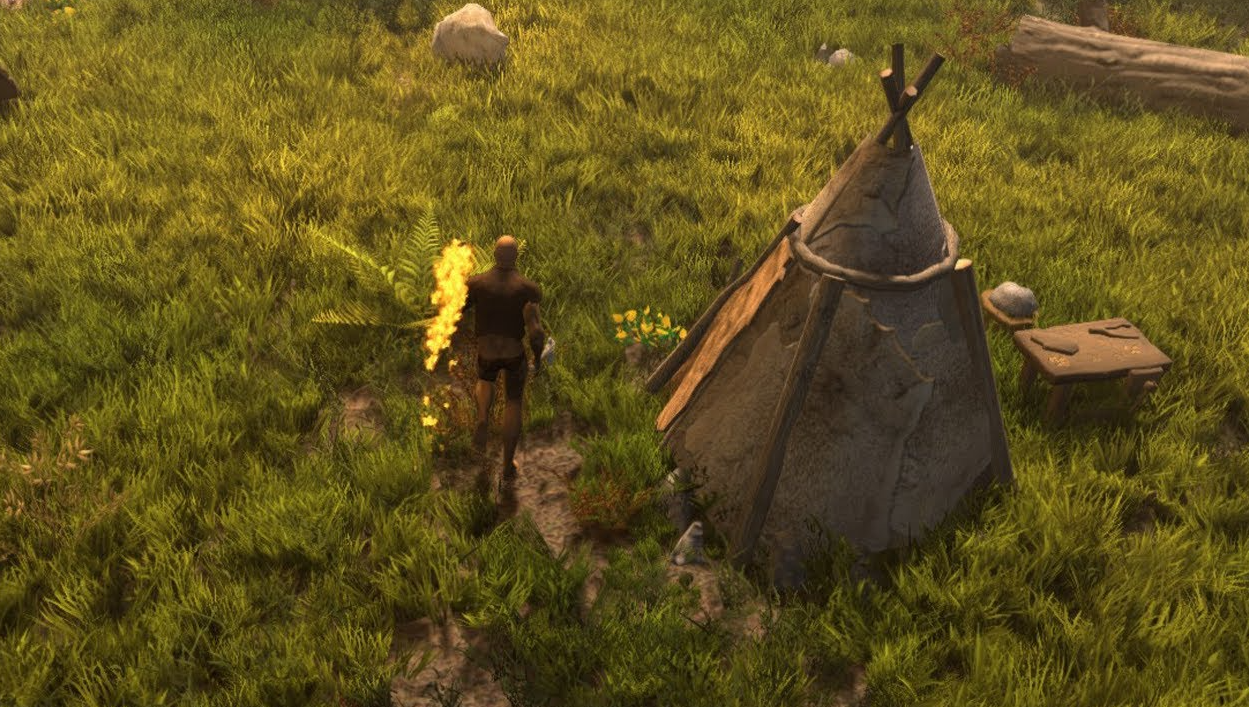 Wild Terra 2 New Lands survival gameplay at a campsite
