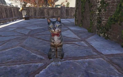 Fallout 76 pets return to public testing with combat commands and progression