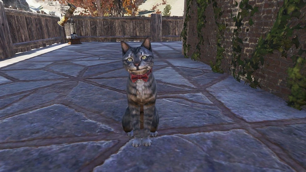 Fallout 76 pets return to public testing with combat commands and progression