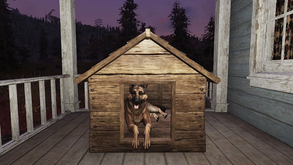 Fallout 76 pets return to public testing with combat commands and progression - Image 2
