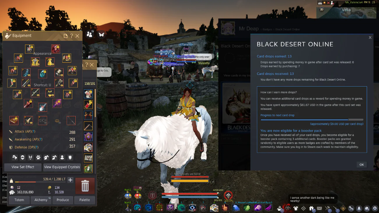 Black Desert Gameplay